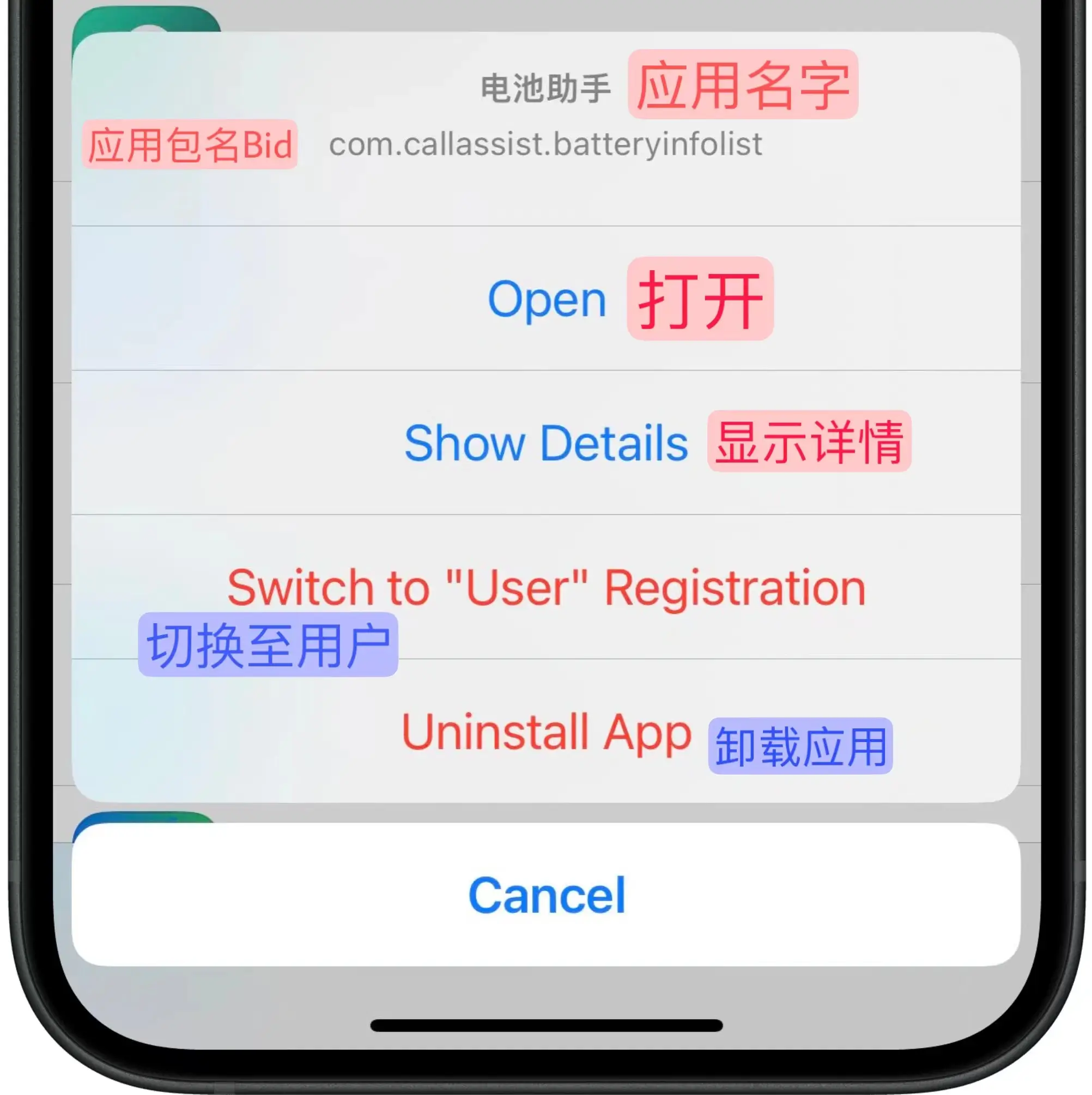 TrollStore应用管理